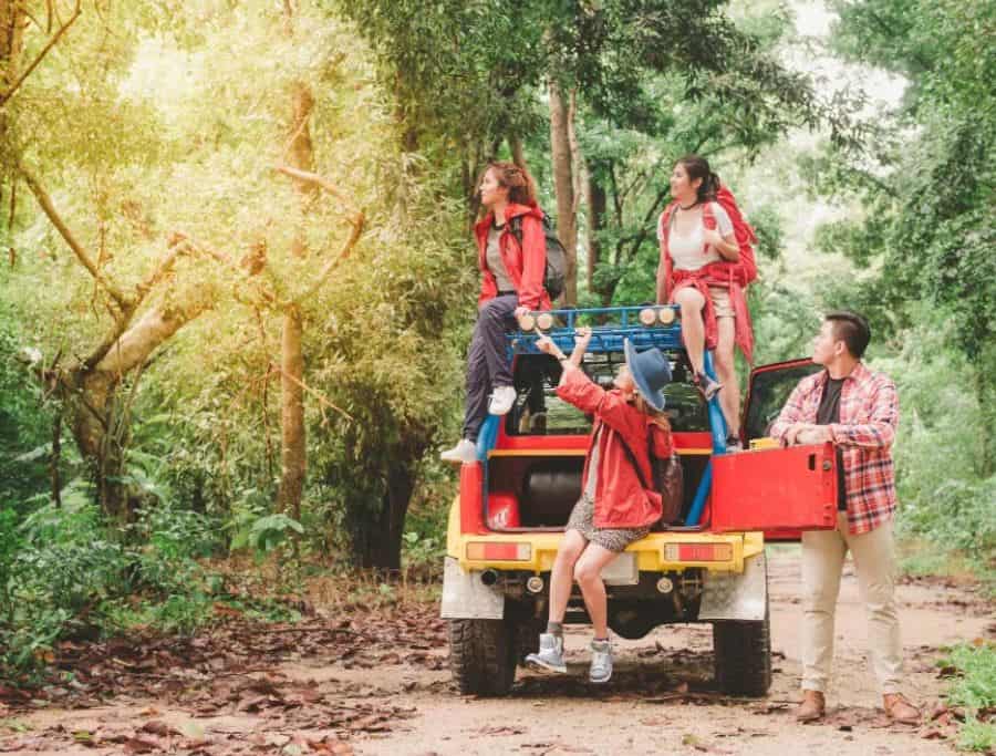 Safaris in lush African forests for adventure lovers.