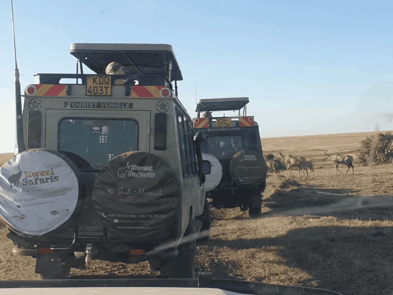 Game viewing in Mara on a Kenya Safari