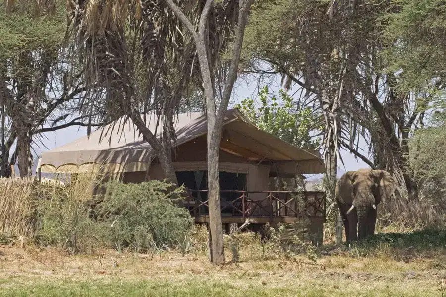 A tented room with the view of elephants in elephant bedroom camp samburu.