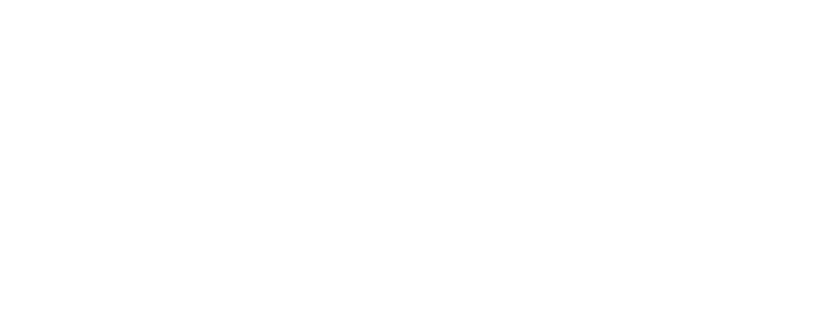 Pesapal White Logo