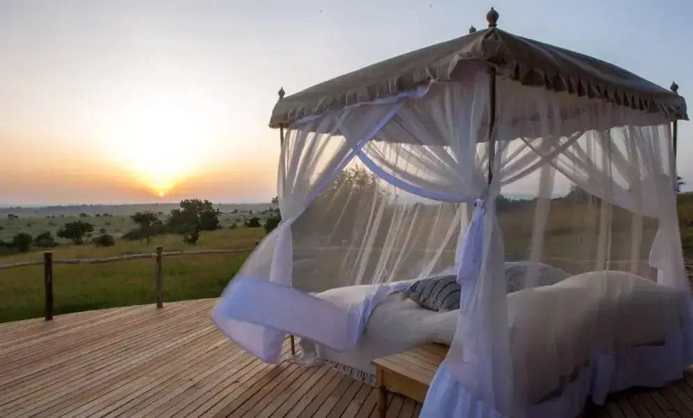 An outdoor bed setting in the savannah.
