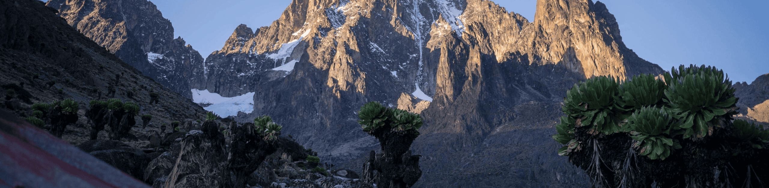 Mount Kenya National Park