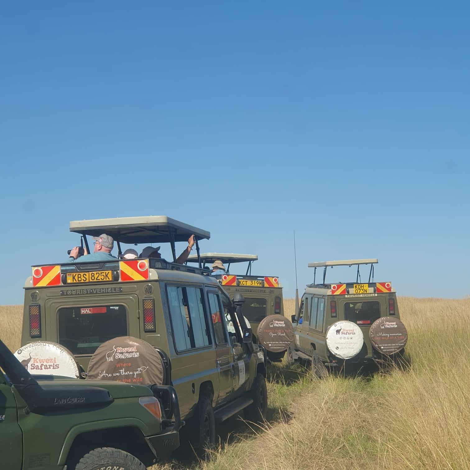 Tourists on a Kwezi Safaris Safari vehicles on a game drive in Serengeti National Park