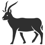 A Bongo Antelope icon.