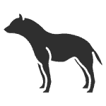 An hyena icon.
