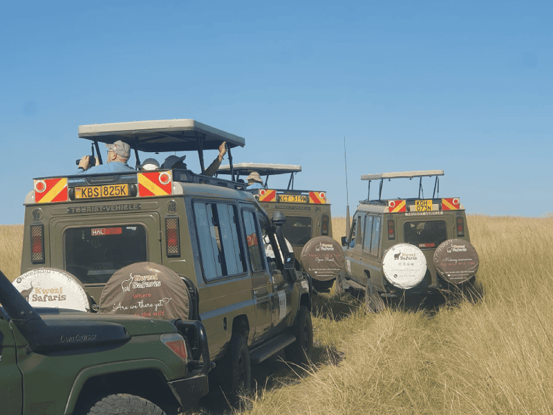 A Caravan of Kwezi tour vans while on a wildlife safari.
