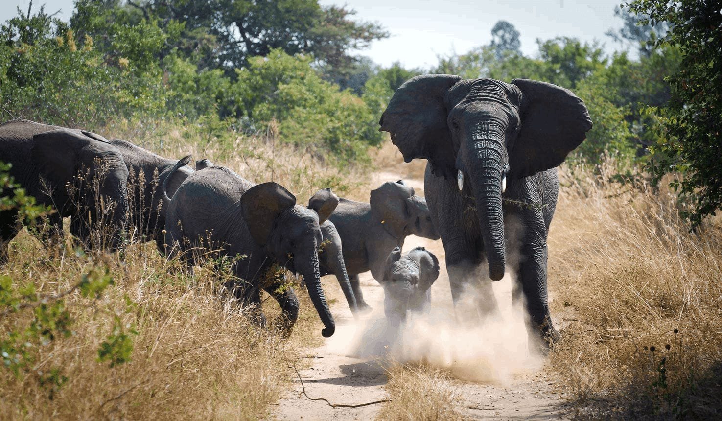 Akagera National Park