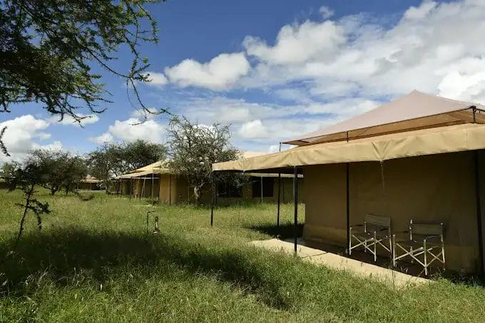 Serengeti Wildebeest Camp