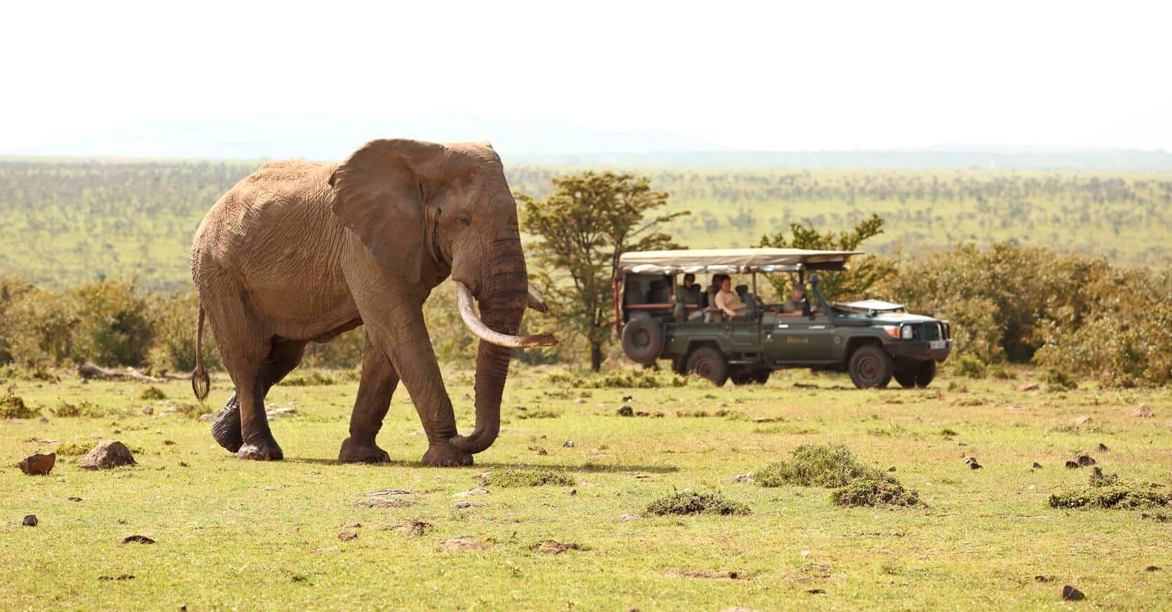 Queen Elizabeth National Park