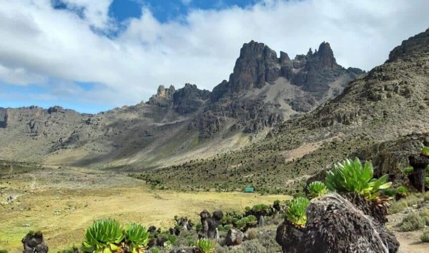 4 Days Mt. Kenya Hike Through Sirimon